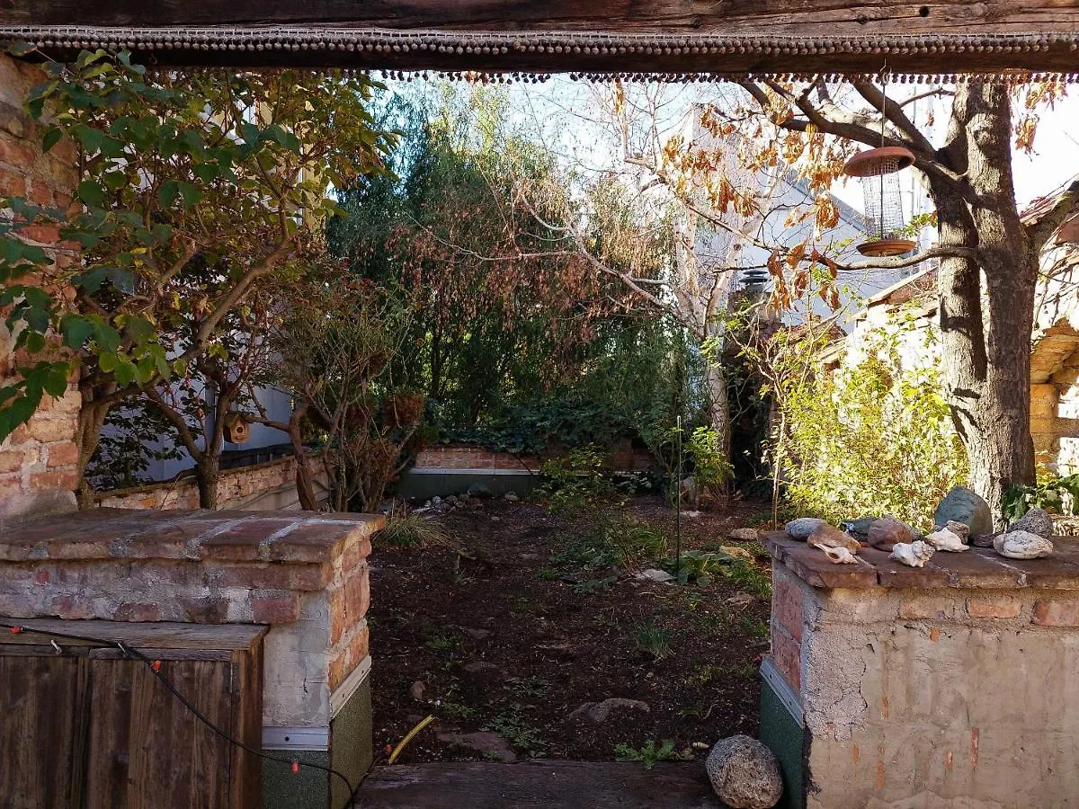 Hidden Garden - Spacious Modern - 1 Min To City Shuttle Apartment Vienna