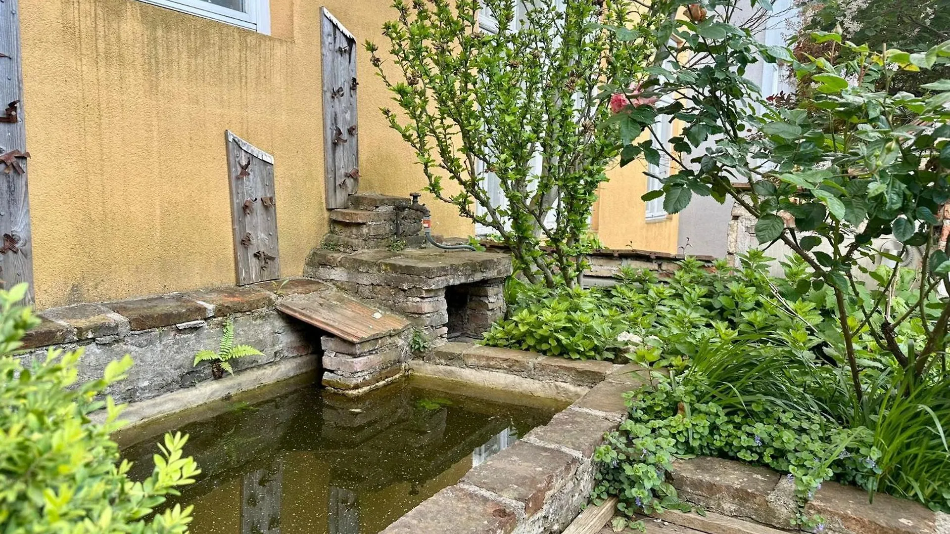 Hidden Garden - Spacious Modern - 1 Min To City Shuttle Apartment Vienna