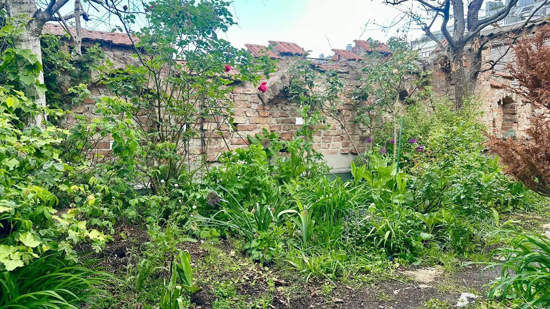 Hidden Garden - Spacious Modern - 1 Min To City Shuttle Apartment Vienna Austria